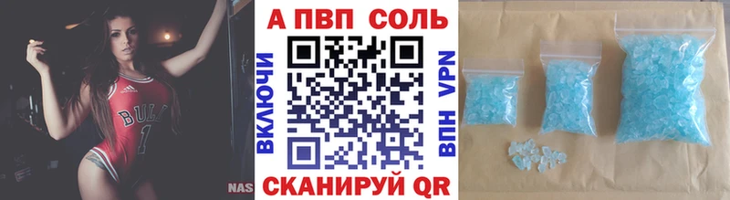 дарнет шоп  Вельск  Альфа ПВП СК КРИС 