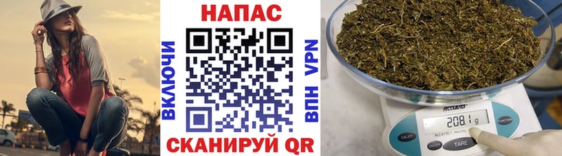Шишки марихуана планчик Вельск